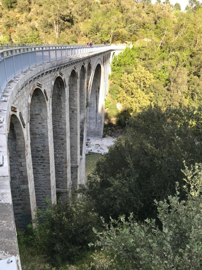 Chambre D'Hote Lavande - Le Soleil Des Cevennes Saint-Jean-du-Gard Extérieur photo